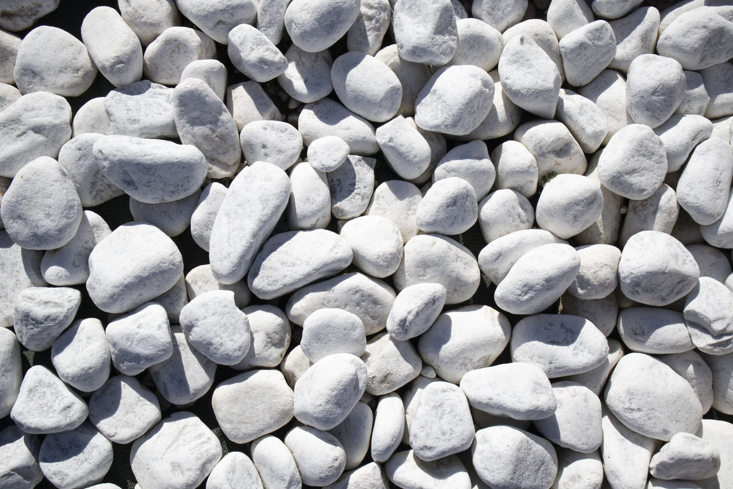 GALET DE MARBRE BLANC 60/100